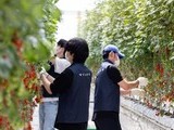 볼보자동차코리아, 발달장애 청년 일터 ‘푸르메소셜팜’서 봉사활동