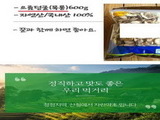 식용 불가 '으름덩굴' 판매한 온라인 쇼핑몰 적발