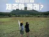70만원 들고 청년들의 제주 체류 도전기