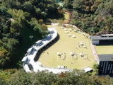 춘천 강아지숲서 '2023 춘천 반려동물 페스티벌' 13일 개최