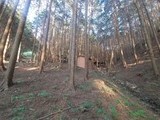 장성 '편백숲' 활용 산촌 자립기반 조성