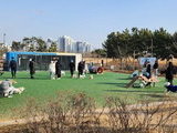 인천시, 반려동물 생애주기별 종합대책 마련