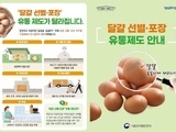 식약처, 여름철 달걀 안전관리실태 집중점검