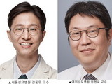 헬리코박터 감염, 치매 위험과 연관성 확인
