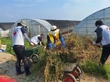 인천서 달려간 온정…적십자, 홍성 수해현장 복구 지원