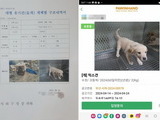 강아지 잡아 ‘들개’라며 보상금 타낸 유기동물보호소