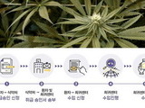 식약처, '자가 치료용 대마 성분 의약품' 구매 안내
