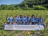 KT＆G, 잎담배 수확 봉사활동…17년째 농가와 상생 실천