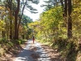 가을에 걷기 좋은 '광양백운산 둘레길'