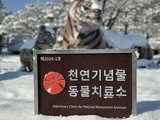 우치동물원, ‘천연기념물 동물치료소’ 지정