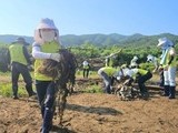 NH농협카드, 가평 수해복구 지원…임직원 직접 현장에 나서