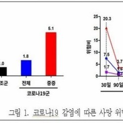 중증 코로나 겪은 COPD 환자, 사망위험 5배 치솟아