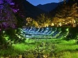 '강릉 솔향수목원’ 6월부터 야간 개장
