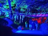 울산 남구, '장생포 한여름 밤의 호러 페스티벌' 개최