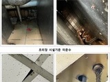 '튀긴 벌레' 신고 맥도날드 청담점 