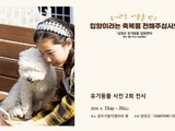 담양군, 