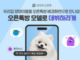 강아지의 날, 네이버 '댕댕이자랑' 사진 자랑 대회