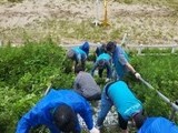 한국마사회, 임직원 수해 복구 위한 봉사활동 나서