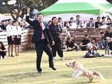 경주시, 음식점 반려동물 동반 허용
