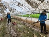 안산도시공사, 충남 청양군 수해현장 봉사활동 펼쳐