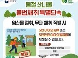 드론까지 뜬다…봄 산나물 채취, 이제 단속 전쟁