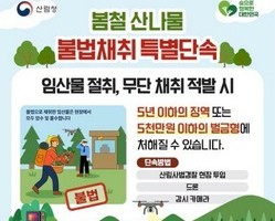 드론까지 뜬다…봄 산나물 채취, 이제 단속 전쟁