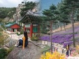 산청서 한 달 여행 즐겨 보세요!