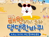 태안 꽃지해수욕장서 6월 8일 