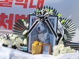대법, 동물 학대 범죄 양형기준 추가 