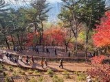 남산 하늘숲길, 한 달 만에 9만 명