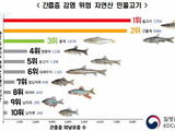 자연산 민물고기 회로 먹으면 큰일!