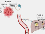 종양 DNA로 암 전이·재발 예방 가능성 확인