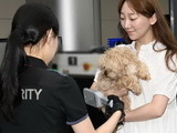 반려동물과 비행기 탈 때 '펫티켓·보안검색절차' 