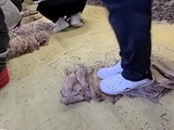 식약처, ‘신발로 밟아 편 오징어’ 위반 업체 적발
