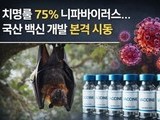 ‘차기 팬데믹 후보’ 니파바이러스…한국, 백신 개발 착수