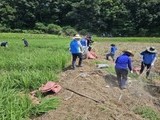 신한금융, 충청지역 수해 복구 봉사활동