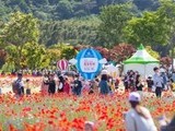 '태화강 국가정원 봄꽃축제' 19∼21일 개최