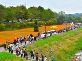 '황룡강 가을꽃축제' 2023년 전남 대표축제 선정