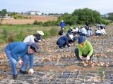전남 무안 양파농가 봉사활동