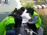 도봉구, '청소년 환경탐사단' 모집