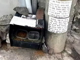 길고양이 급식통에 독극물 수사