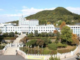 강원도, 청년 창업자에 '최대 5000만원 무이자 대출' 지원