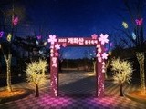 4년 만에 돌아온 '2023 개화산 봄꽃축제'