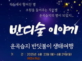 반딧불이를 만나러 가요!
