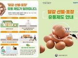 식약처, 위생관리 미흡한 달걀 취급 업체 9곳 적발