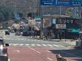 늑구 사태로 본 ‘가짜 동물 이미지’ 경계령