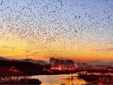 울산 철새홍보관, '다양한 행사로 생태·환경' 홍보 나서