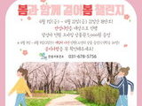 안성시, 봄과 함께 건강 걷기 챌린지 '위크온' 운영