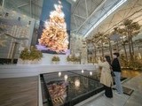 인천공항 밀레니엄홀 새명소 'Winter forest, for real' 